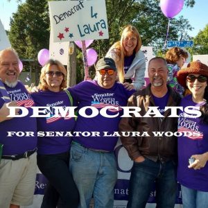 woods-image-of-group-of-alleged-democrats-for-senator-laura-woods